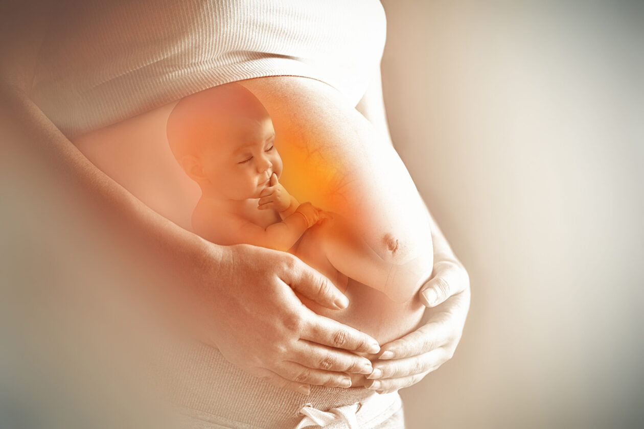Внутриутробное развитие плода: периоды беременности