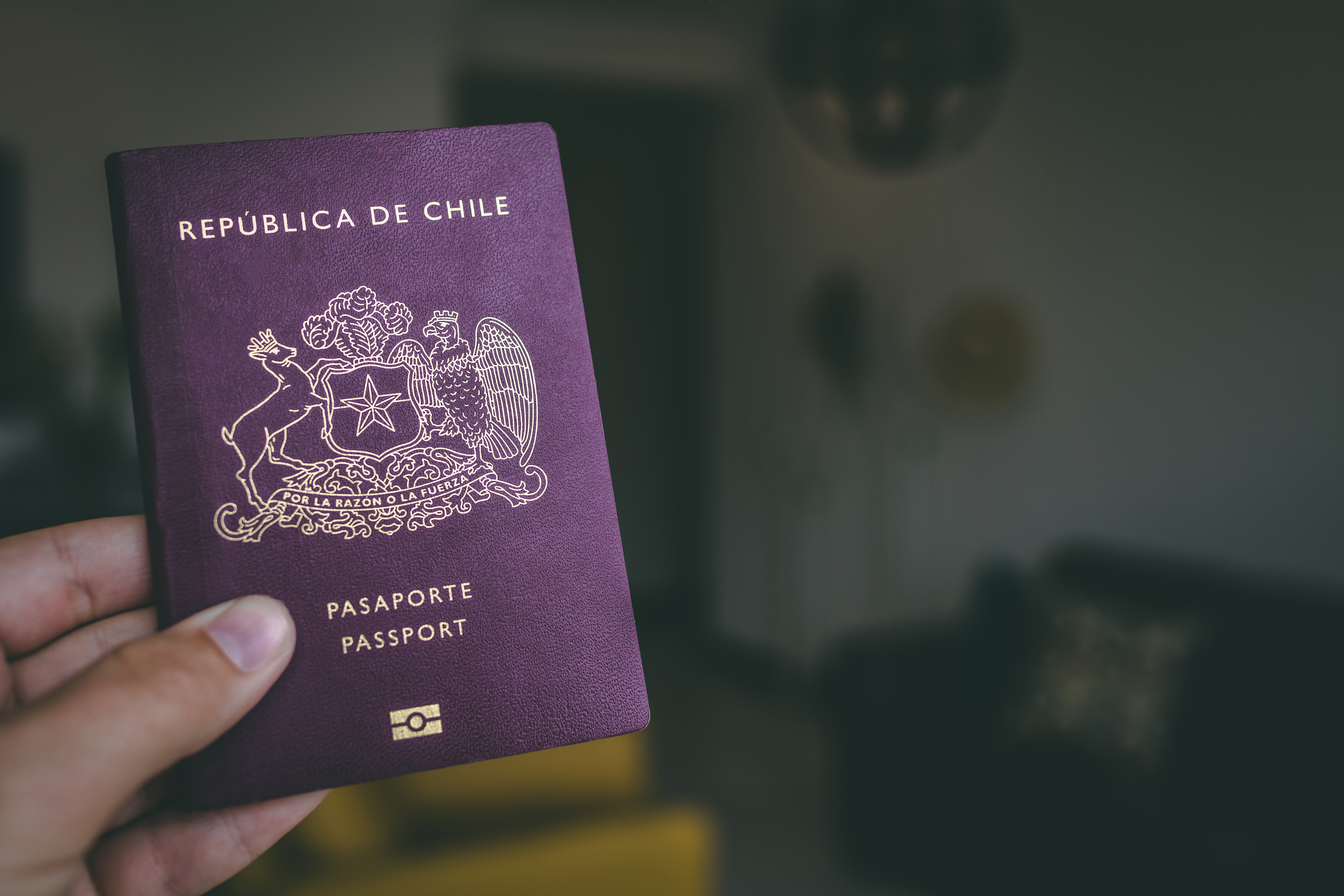 этапы оформления чилийского паспорта